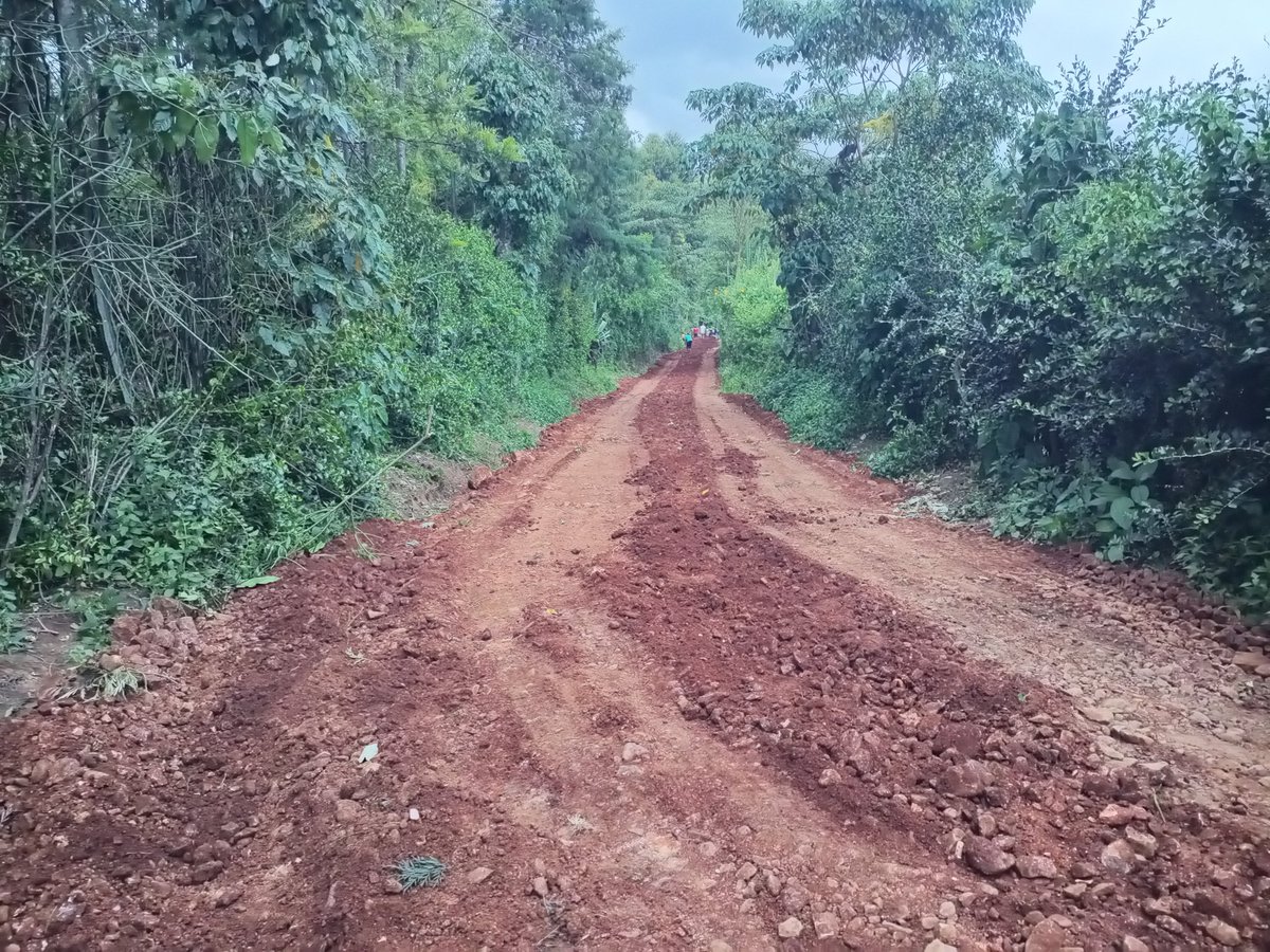 profronoh's tweet photo. @OleNtutuK, look at how the community is building a road in laluk. They are tired of your destination, hatred and tribalism. They voted in for you, highly optimistic about your competency only to get the opposite. You denied them just a roller from the county.. Just a roller https://t.co/SOWIFocQJ9