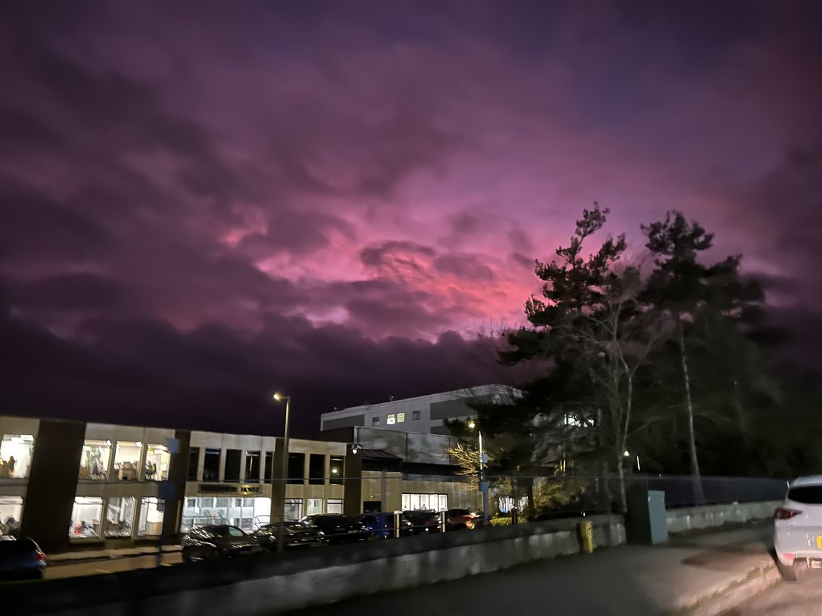 kitty (carmen) tweet media