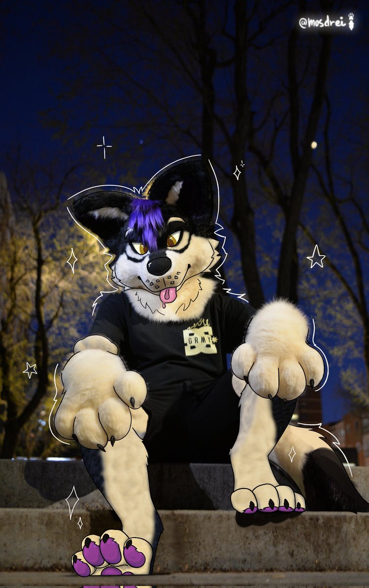 My first #FursuitFriday and it's a drawover for <a href="/gabri_Sparks/">gabri 🔜 IBERCON 2026</a> 🐺💜 (without/with paws 🐾)
📸/<a href="/Nordy060/">NordyElias🔜Ibercon</a> 
🎨/<a href="/MosDrei_/">Mos</a> (me :3)