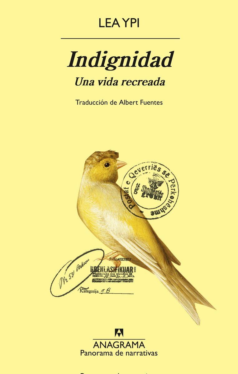 Carlos Bergara tweet media