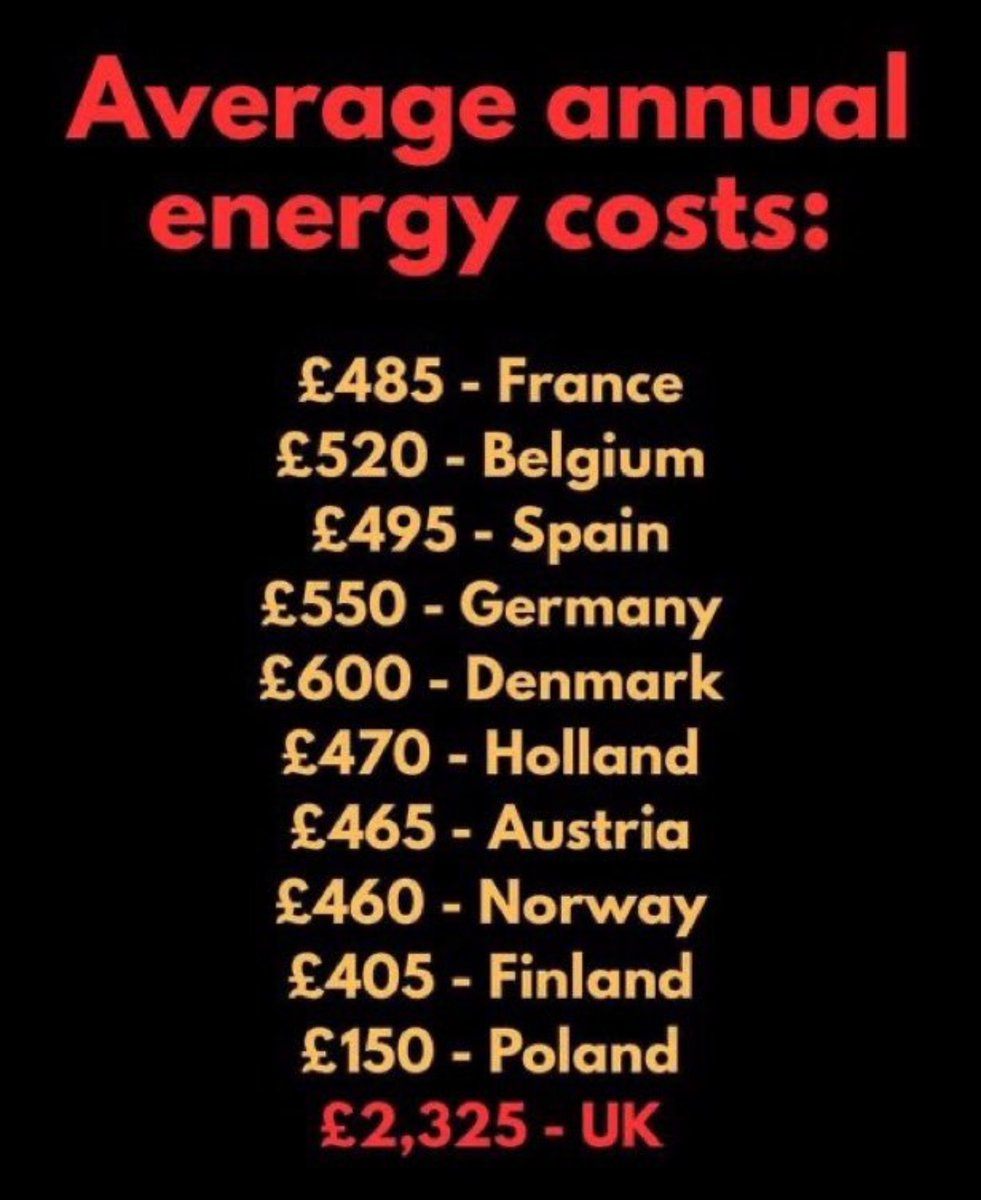 David Webb tweet media