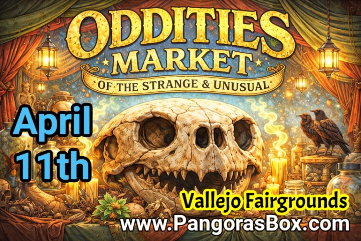 🔥 Tomorrow at Solano County Fairgrounds (4/11)! 🔥🚗 First Annual Car Show
🕯️ Oddities MarketTwo epic events, one location—cars, curiosities, and nonstop vibes. Don’t miss it. 👊#VallejoEvents #CarShow #OdditiesMarket #NorCal