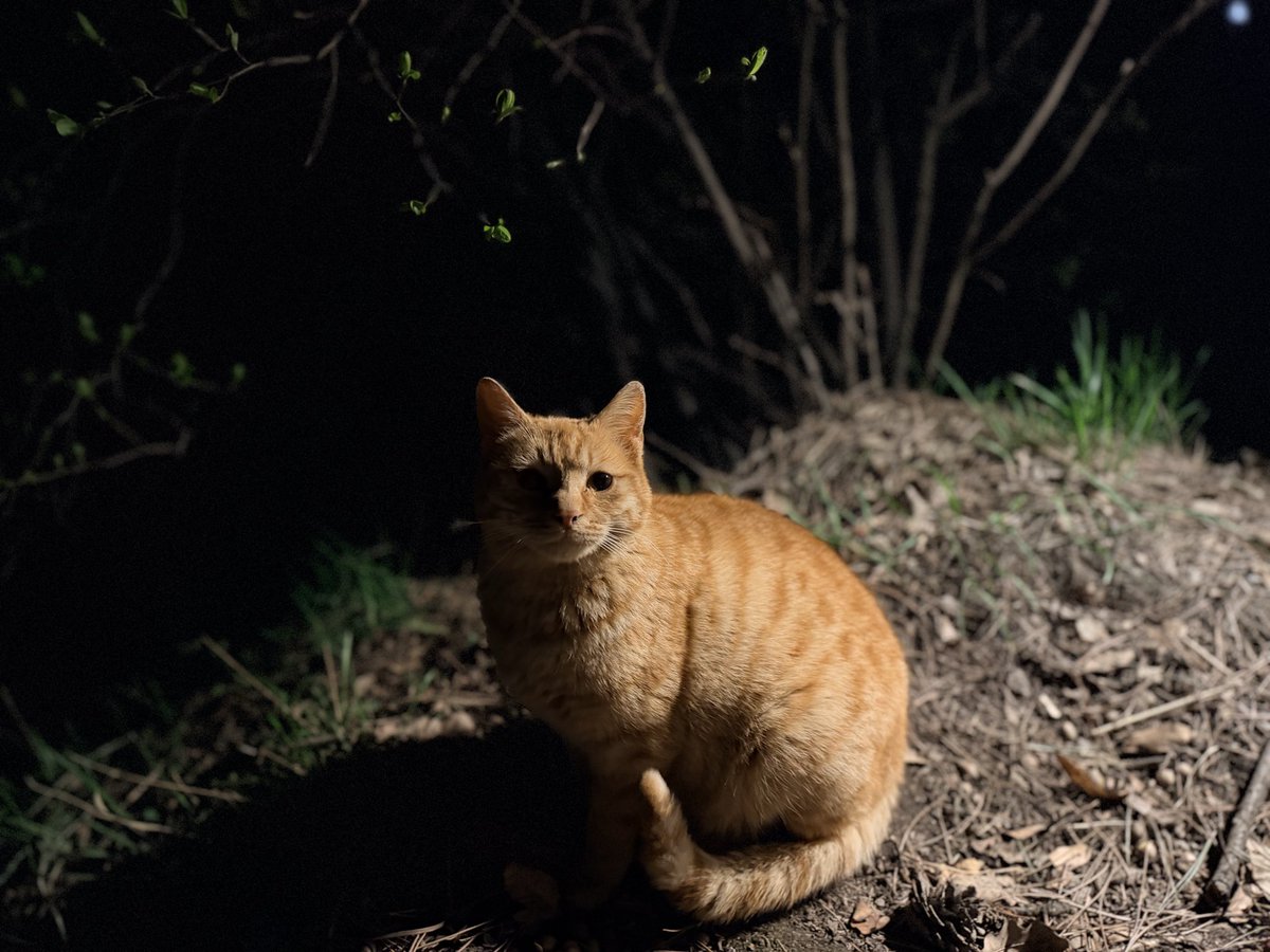 BigWaterBird tweet media