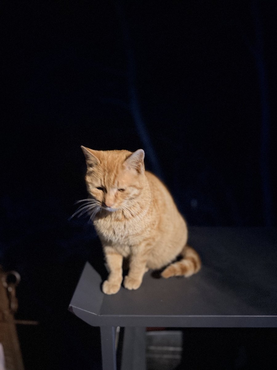 BigWaterBird tweet media