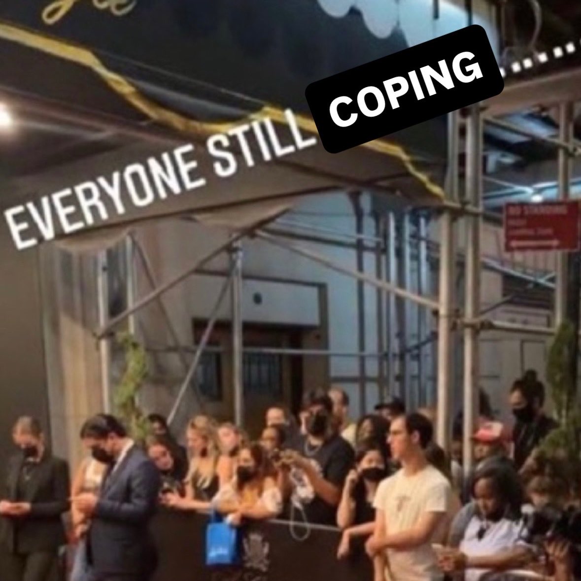 afifasaurus tweet media