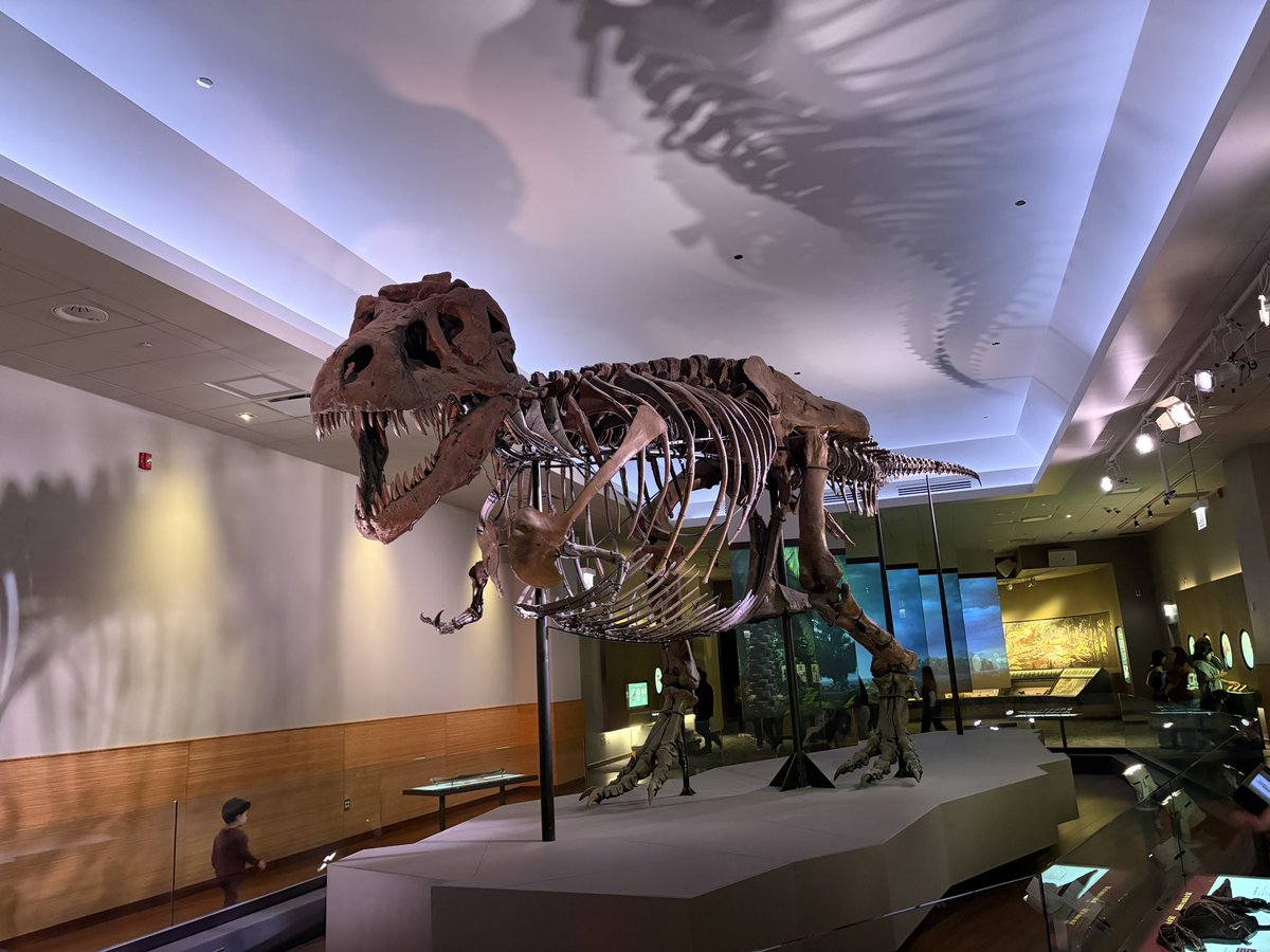 9WICE UPDATES tweet media