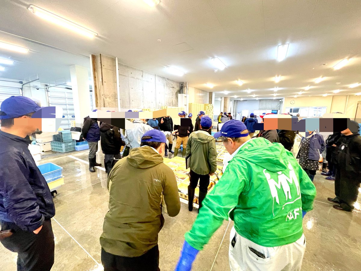 朝早起きして 5時半〜のセリ見学してきました🐟！ セリは活魚から
