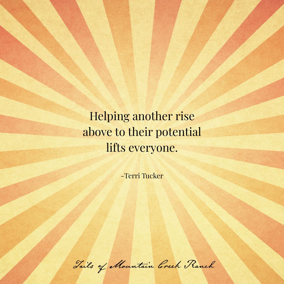 TailsMCR tweet media