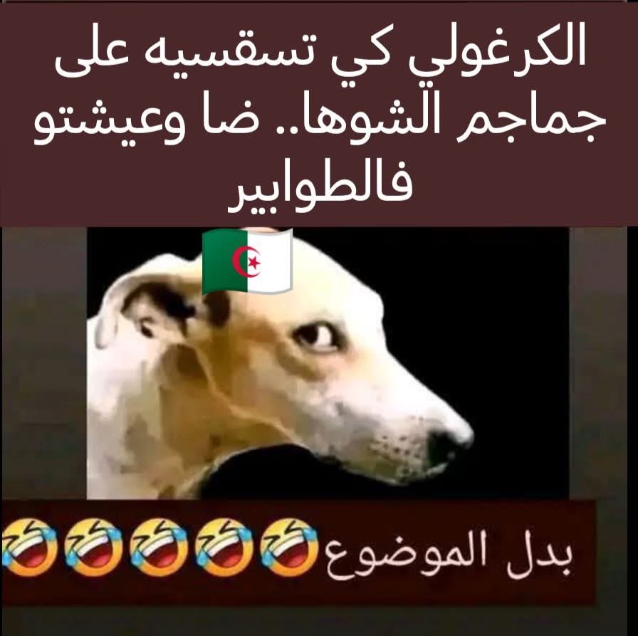 ☆ ☆ أسد المرابطين ☆ ☆ tweet media