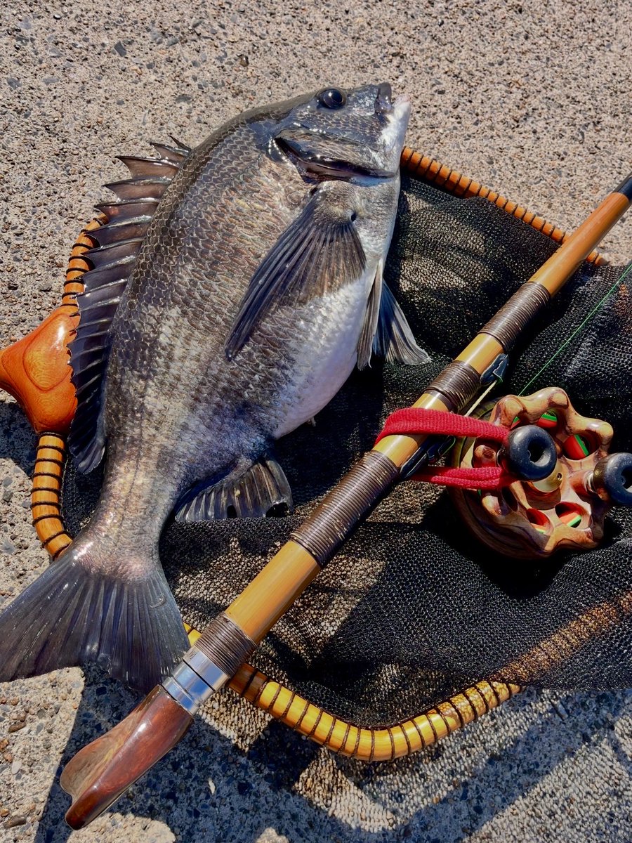 kaoru-みみずfishing tweet media