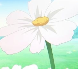 Jisooyaa 🇫🇷 tweet media