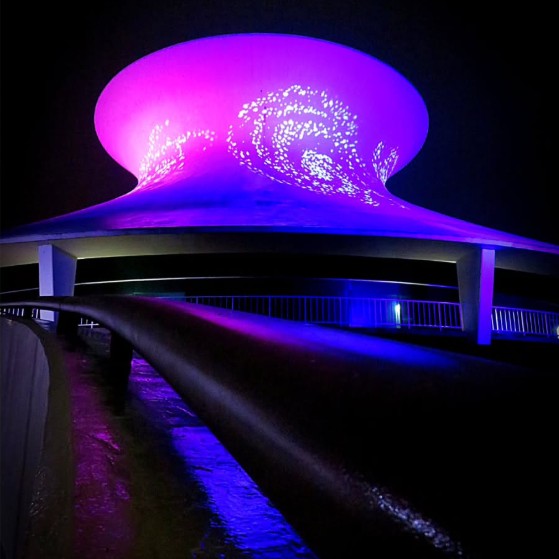 Saint Louis Science Center tweet media