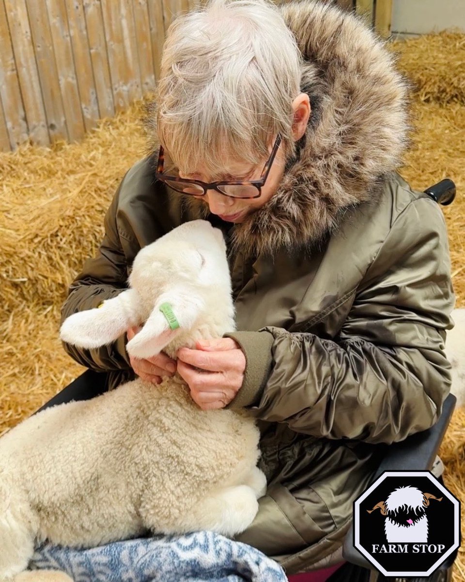 Farm Stop tweet media