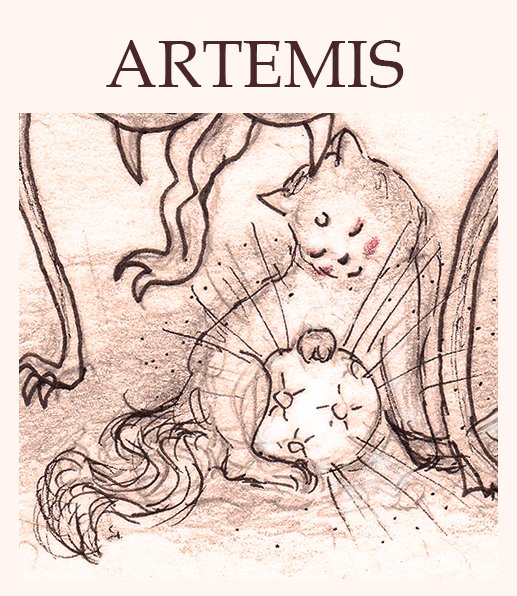 ★ ARTEMIS ★ Del reino Lunar 🌙

Artemis y su compañera, Luna, son los únicos sobrevivientes del antiguo Milenio de Plata, también conocido como el Reino de la Luna, tras su destrucción a manos del reino de Beryl.

#artemis #moon #nasa #luna #manga