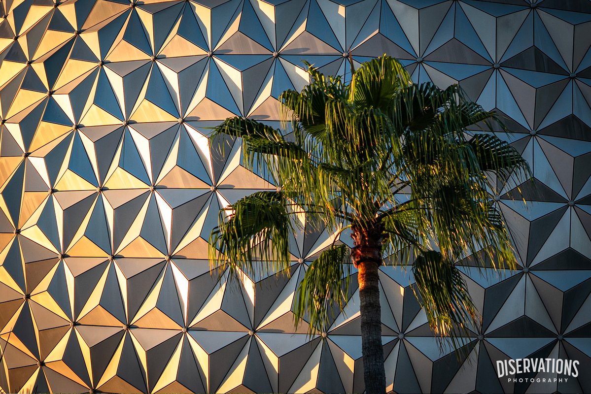 Share a photo you love.