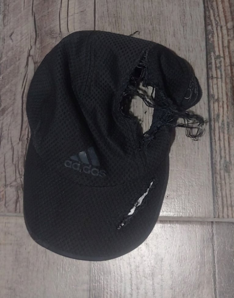 Melarecomia tweet media