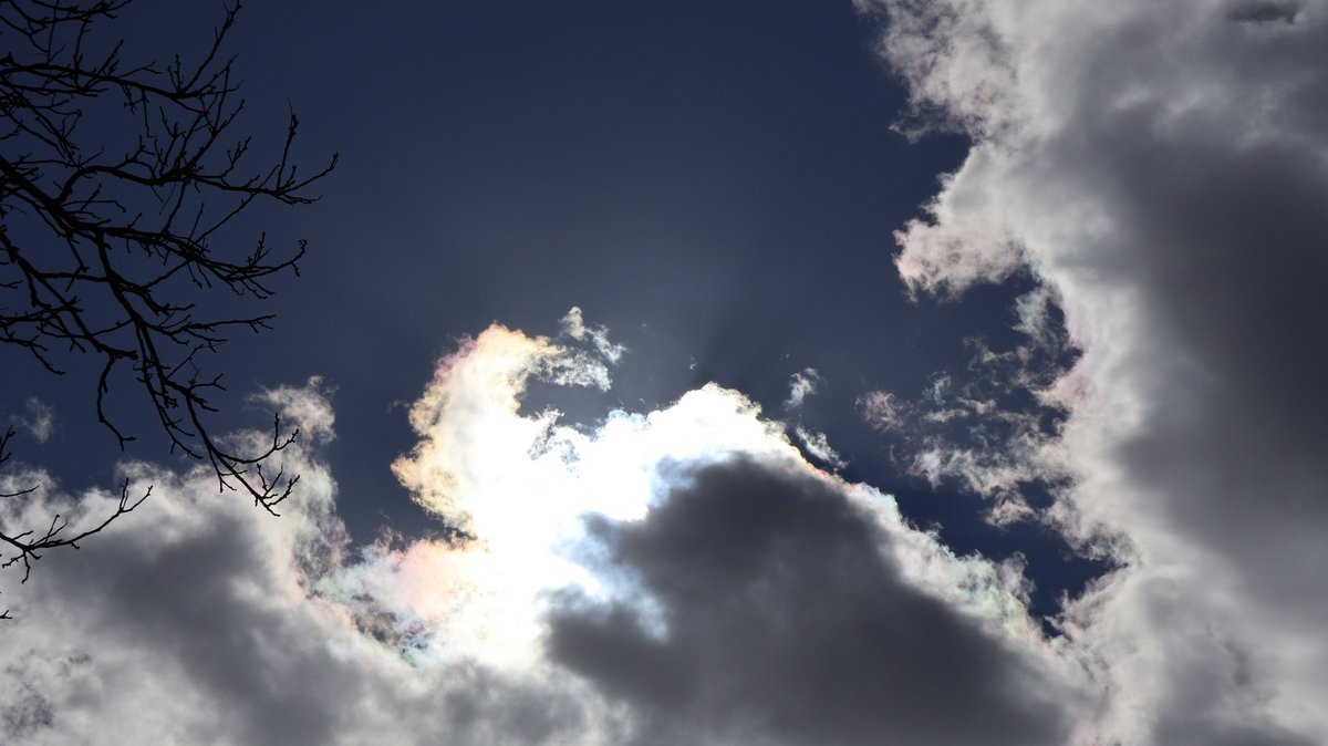 PMD486's tweet image. #random 🌥

📷 2026-04-06