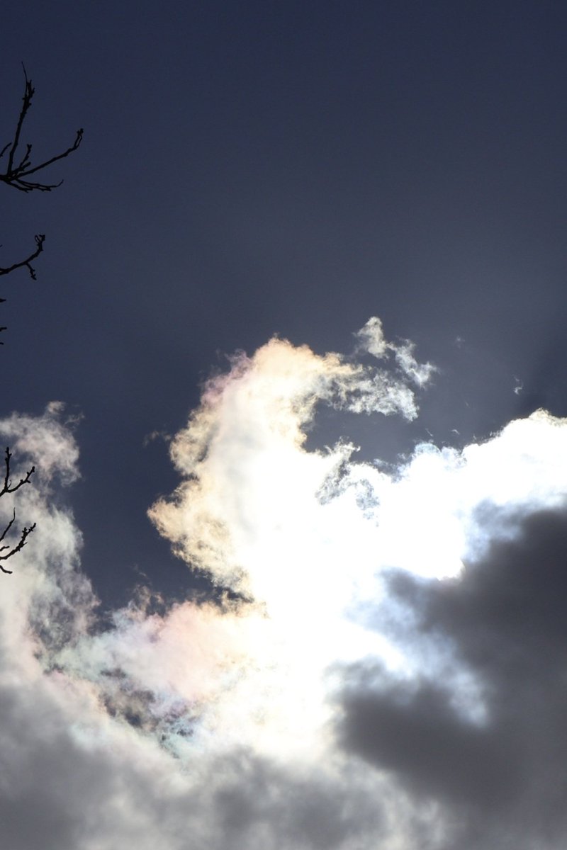 PMD486's tweet image. #random 🌥

📷 2026-04-06