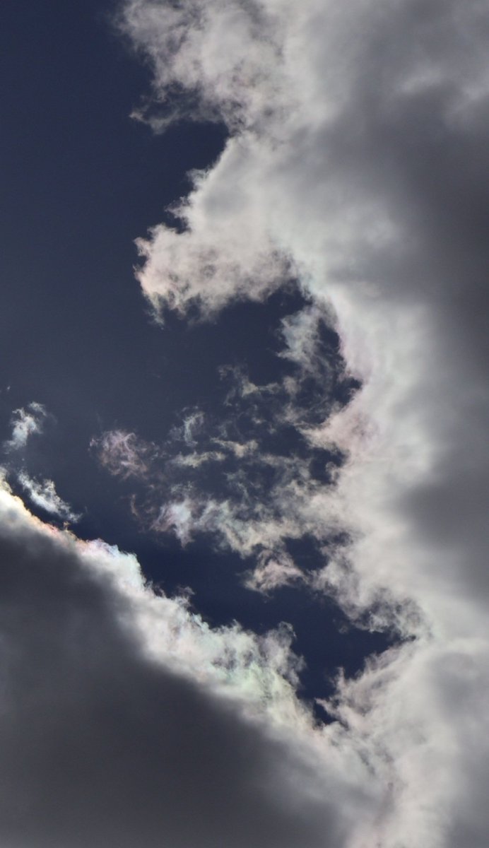 PMD486's tweet image. #random 🌥

📷 2026-04-06