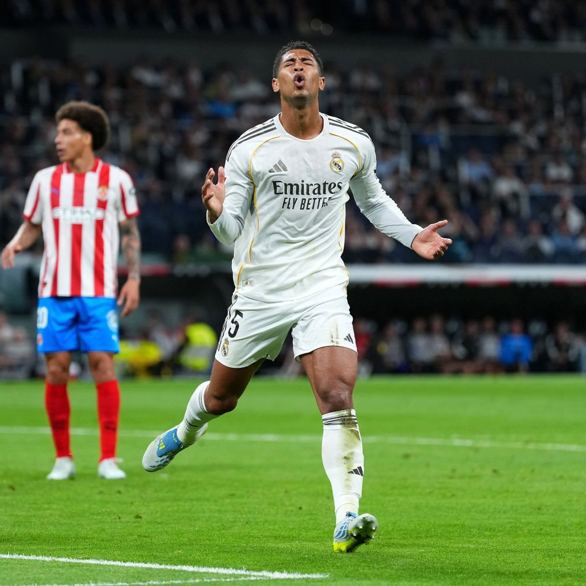 GenghisCant tweet media