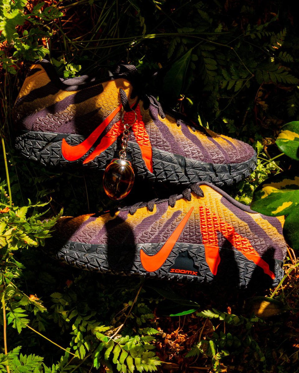 Enter the wild 🦖 From the Hardwood to Jurassic World, the Nike Ja