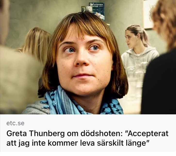 Hillevi Larsson tweet media