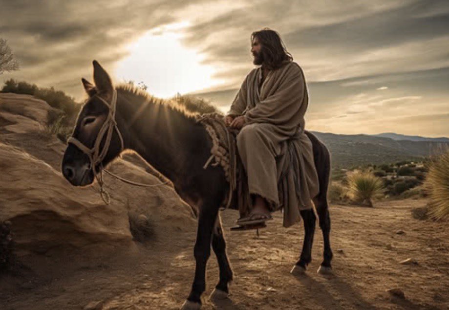 Kat Kanada tweet media