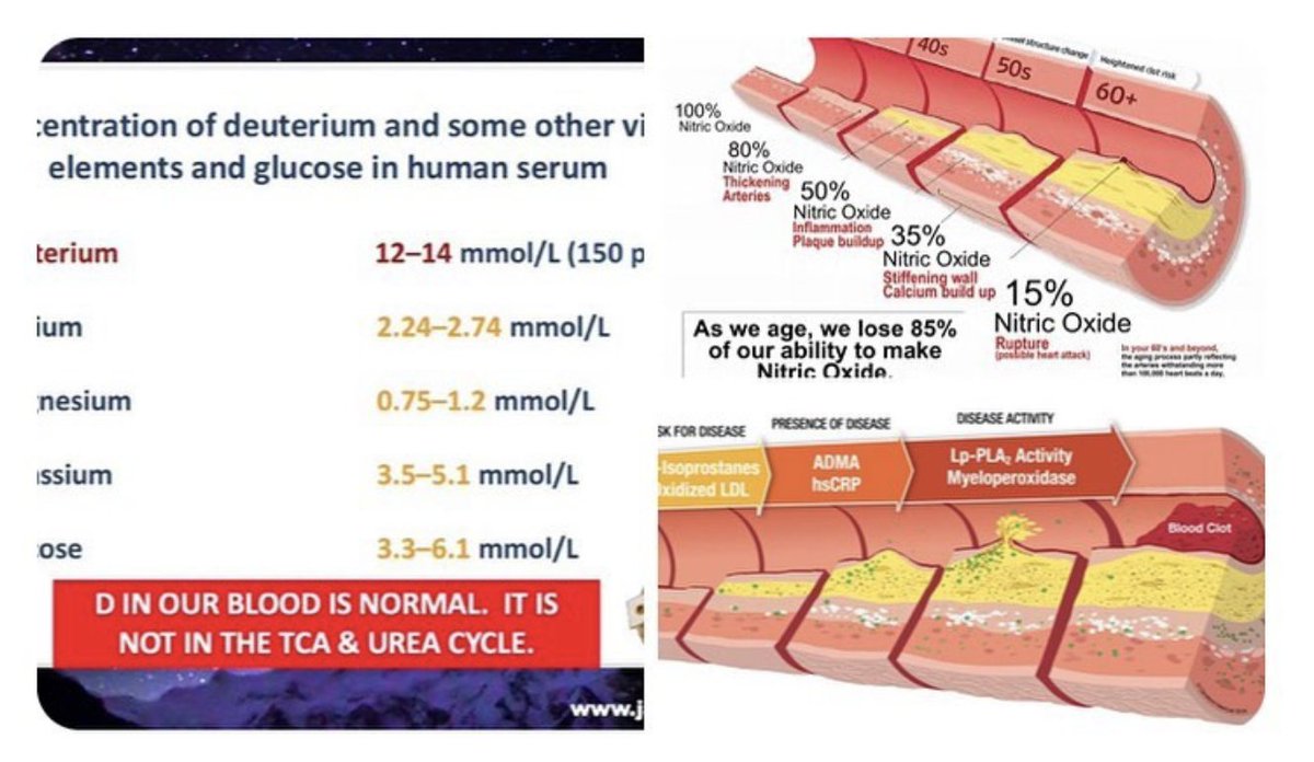 ☣️ Pleb Kruse = BTC foundationalist in exile 🟩🔆 tweet media