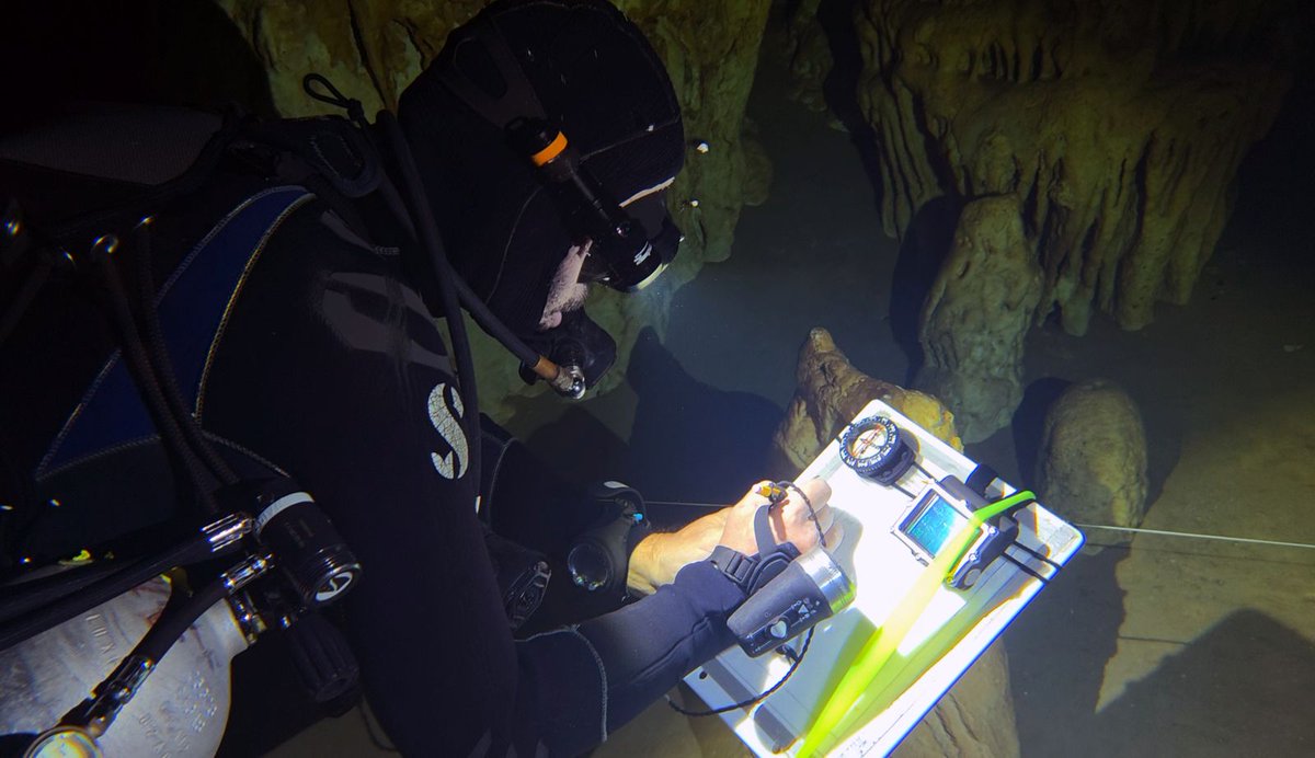 Libreta Negra Mx tweet media