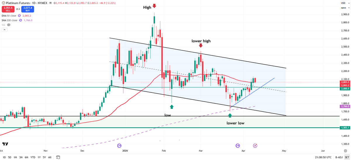platinum bull 🇬🇧 tweet media