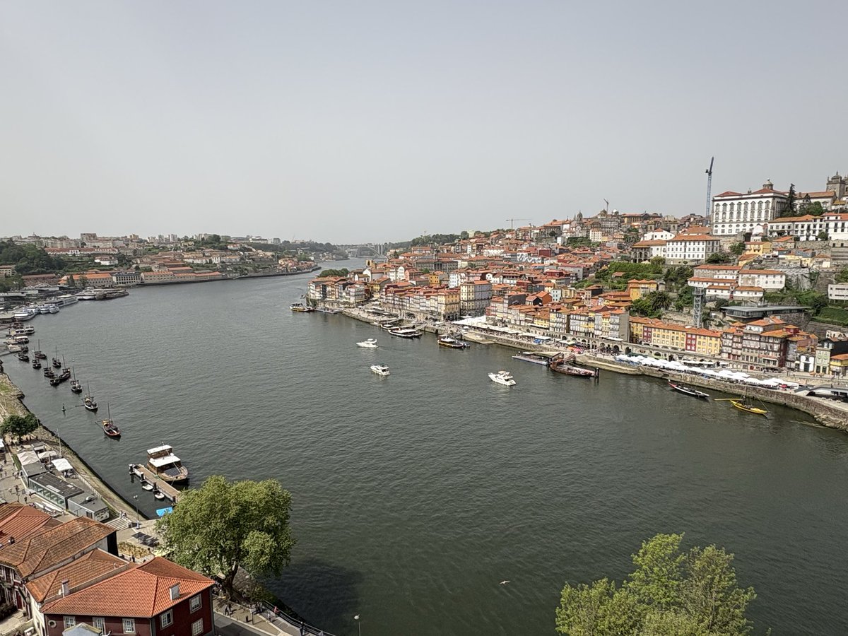 rdale101's tweet image. Thank you Porto you were amazing #nffc #porto