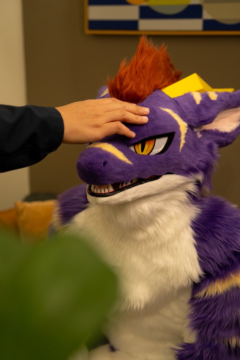 Feld フェルド → UTFG 2026 tweet media