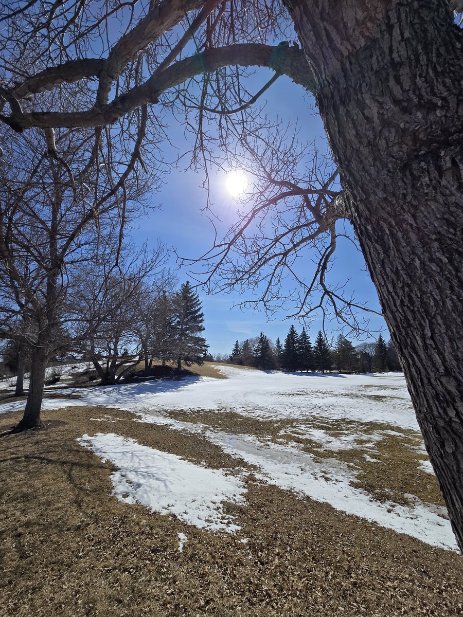 Mohamed .... tweet media