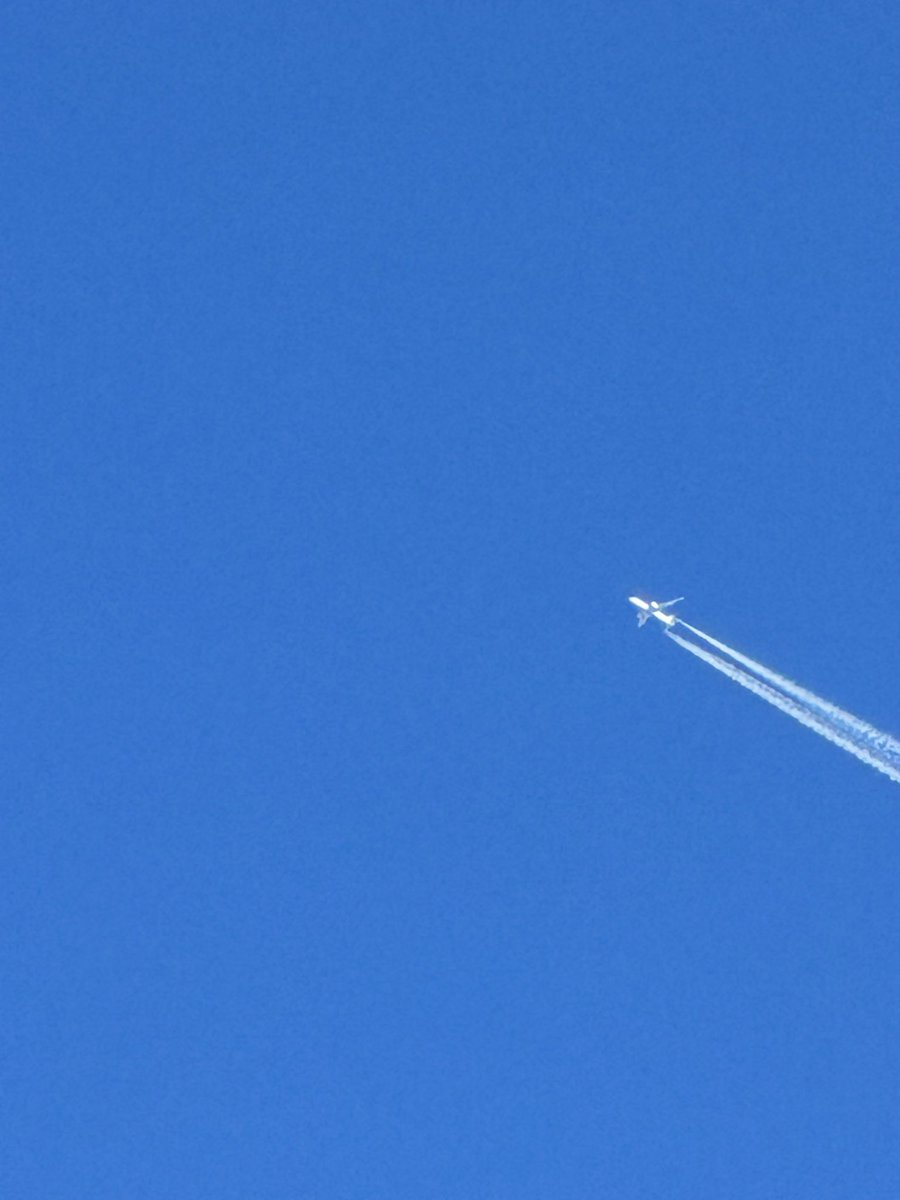 Jocaccia tweet media