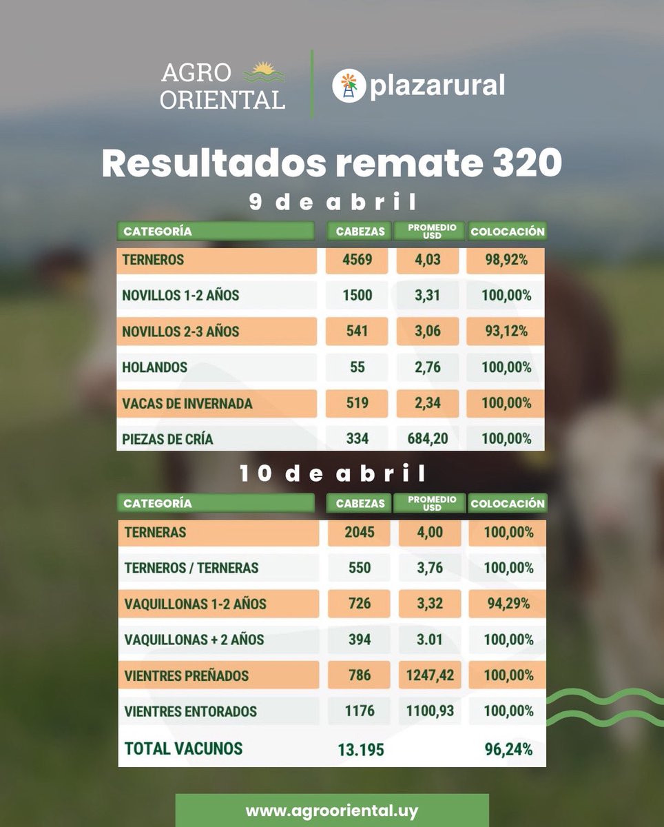 Agrooriental tweet media