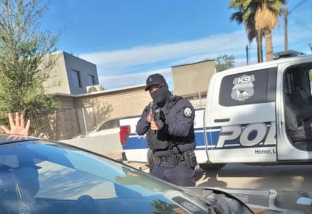 Eco_1_LVM tweet media