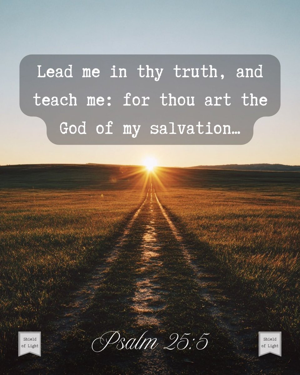 The Shield of Light tweet media