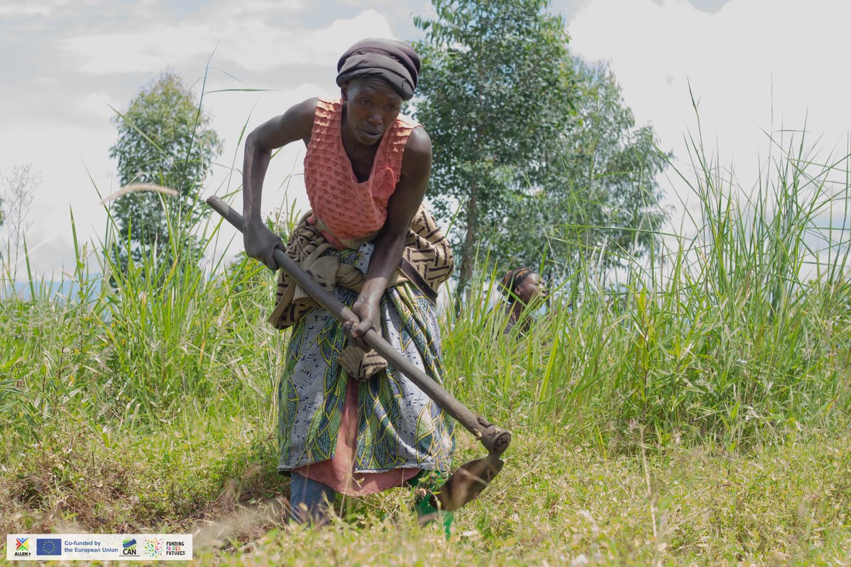 AID LIFE LEARN ENVIRONMENT tweet media