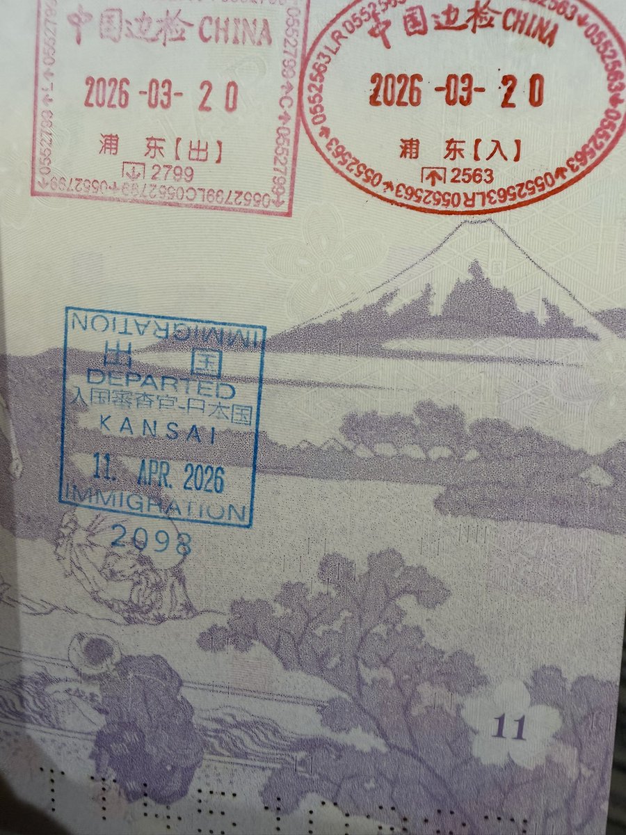 チキンフィッシュ tweet media