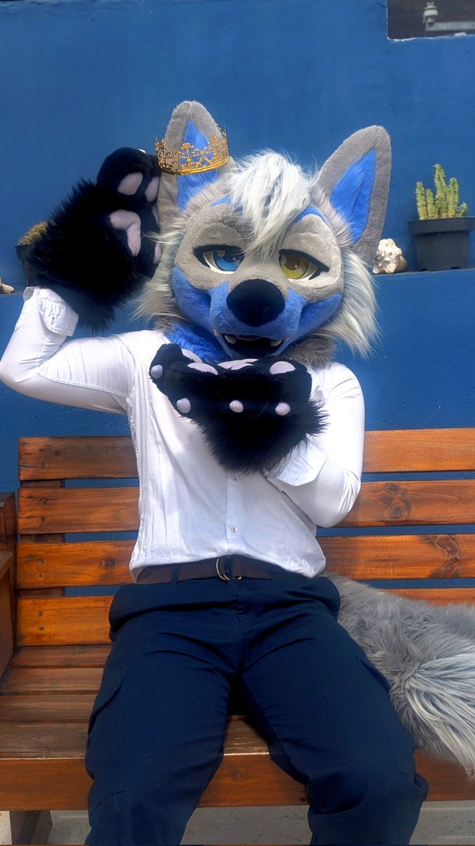 Fang Moonlight tweet media