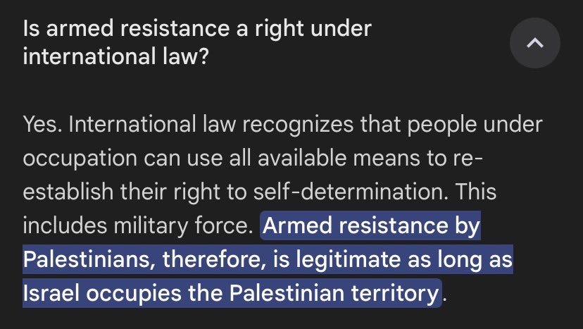 Dani Passmore🇵🇸 tweet media