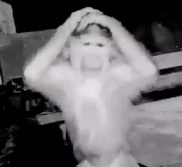 Abdulrahman tweet media