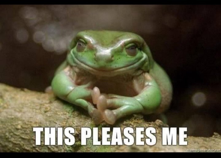 chihiro hayashi tweet media