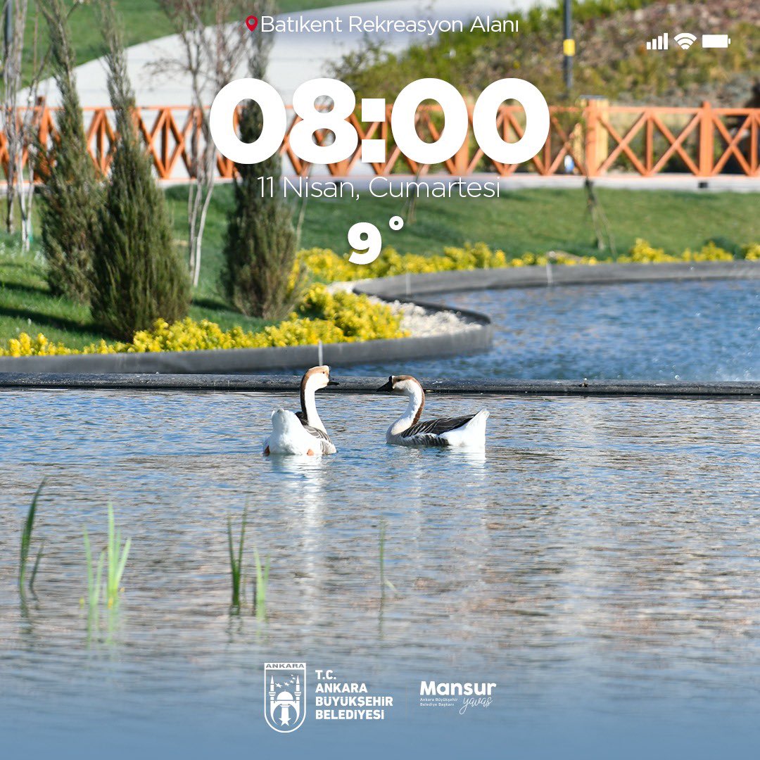 Ankara Büyükşehir Basın tweet media