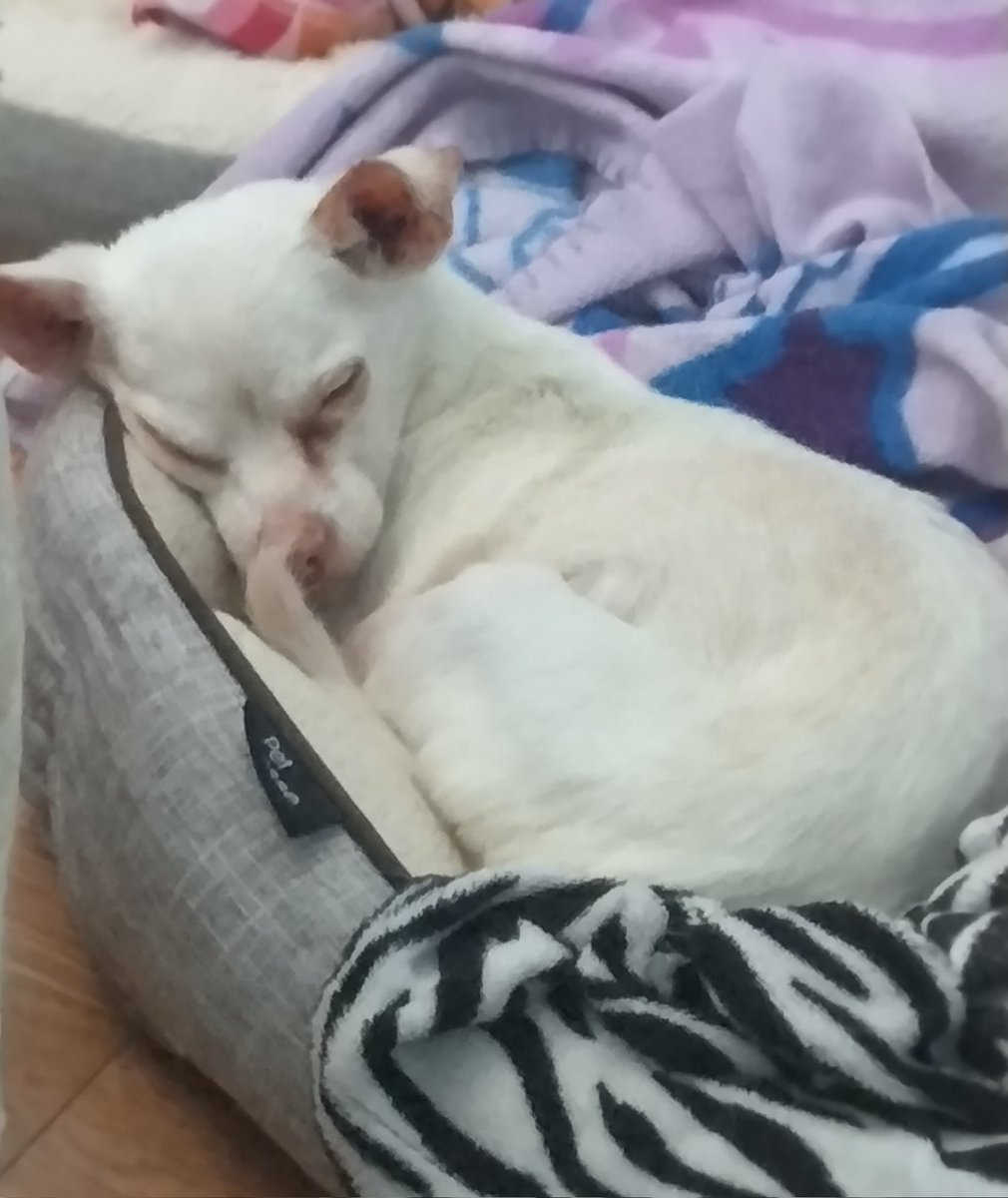 ⭐Moon Miracle⭐ tweet media