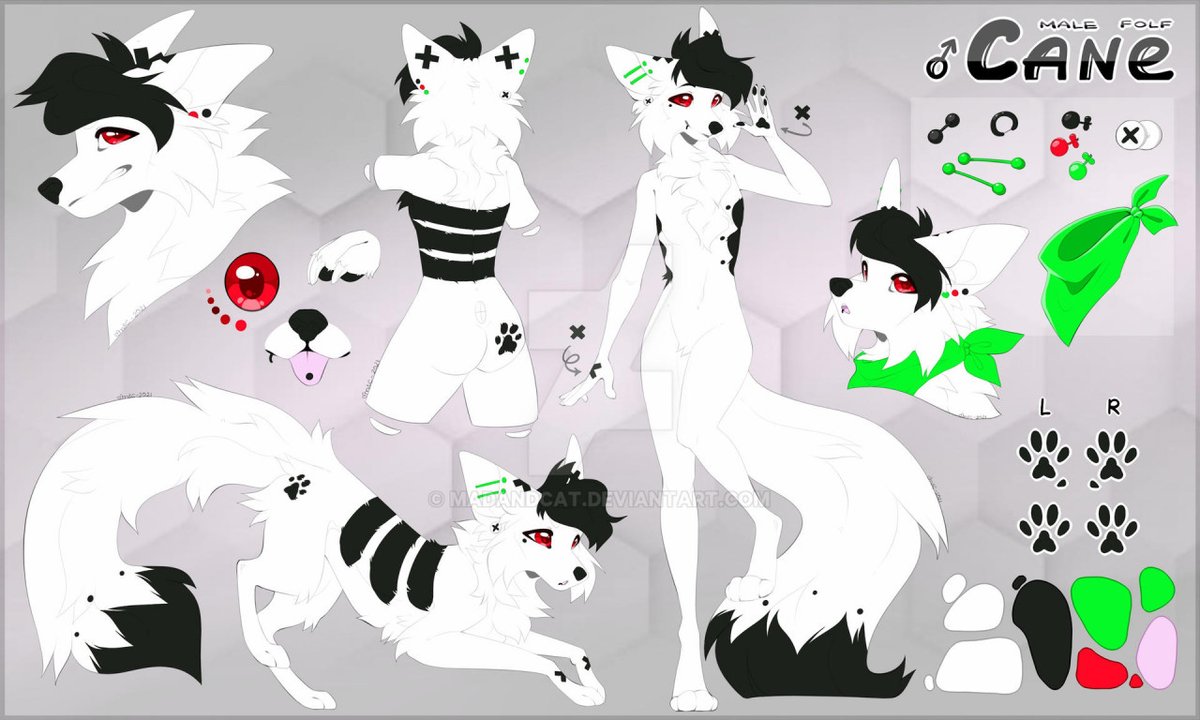 cane folf @furlandia26 tweet media