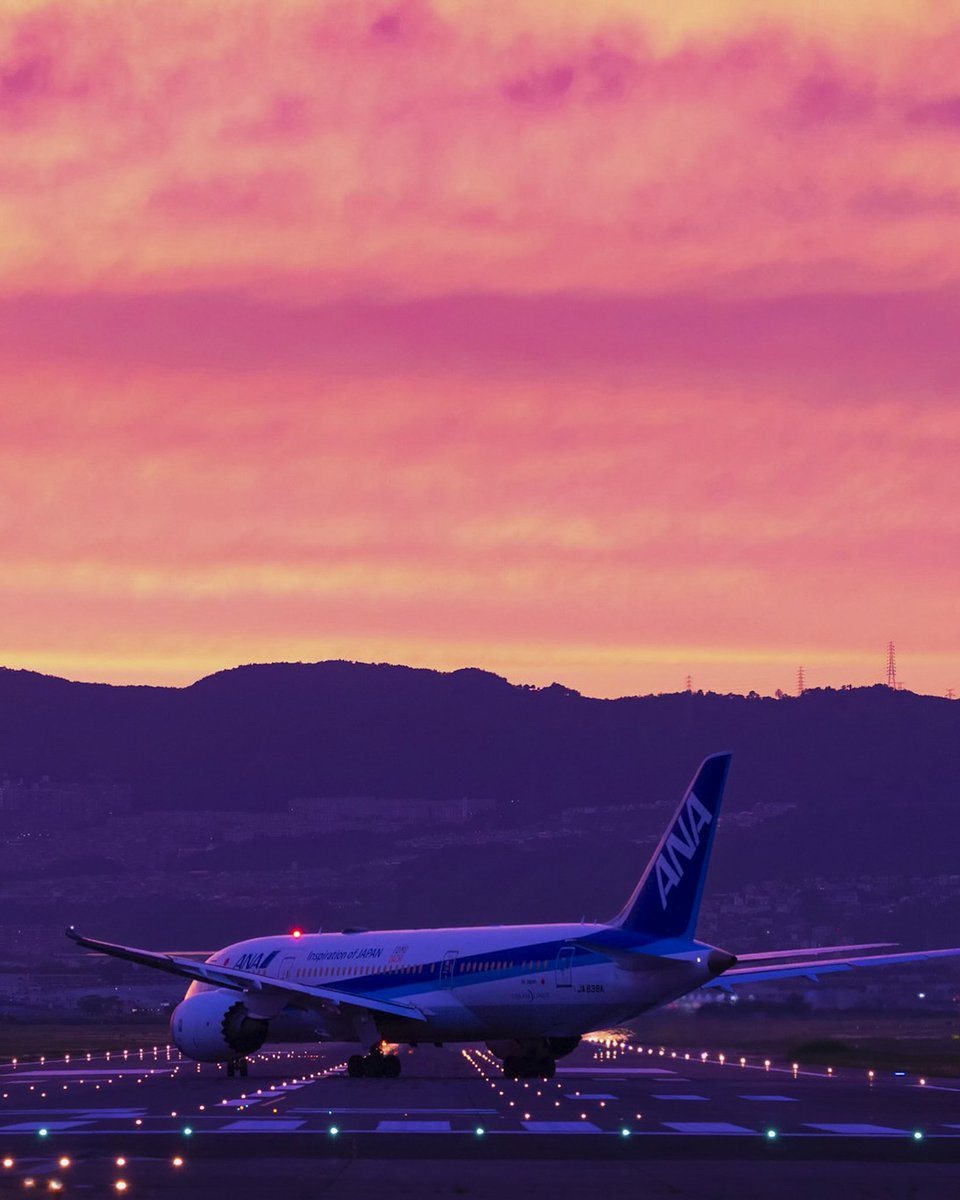 All Nippon Airways tweet media