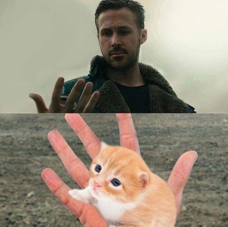 gary tweet media