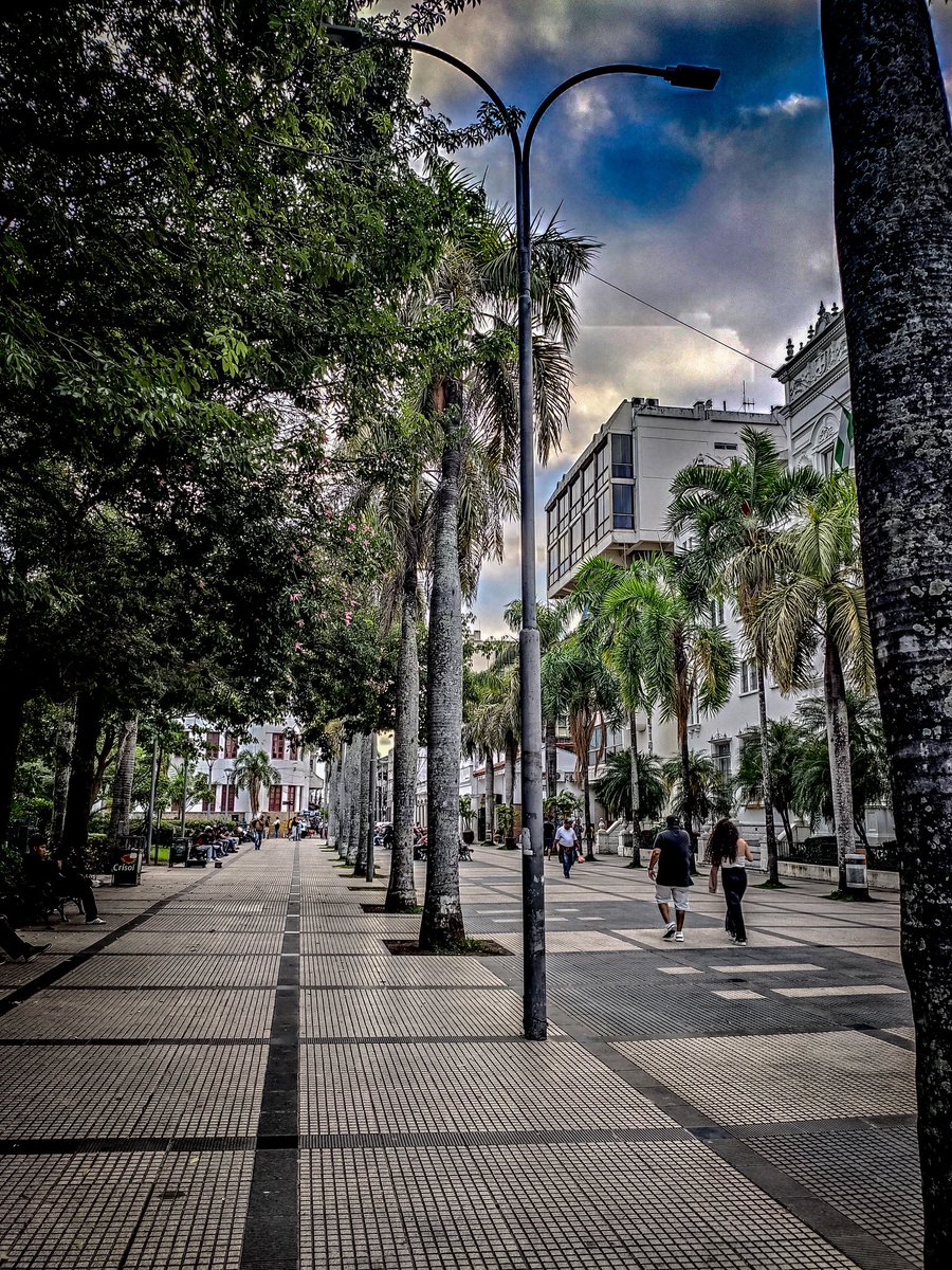 DanielPuertaZ's tweet photo. ~Retazos de mi tierra.
.
.
Plaza Principal "24 de Septiembre"
#SCZ #CentralSquare https://t.co/XNm6QzwNCB