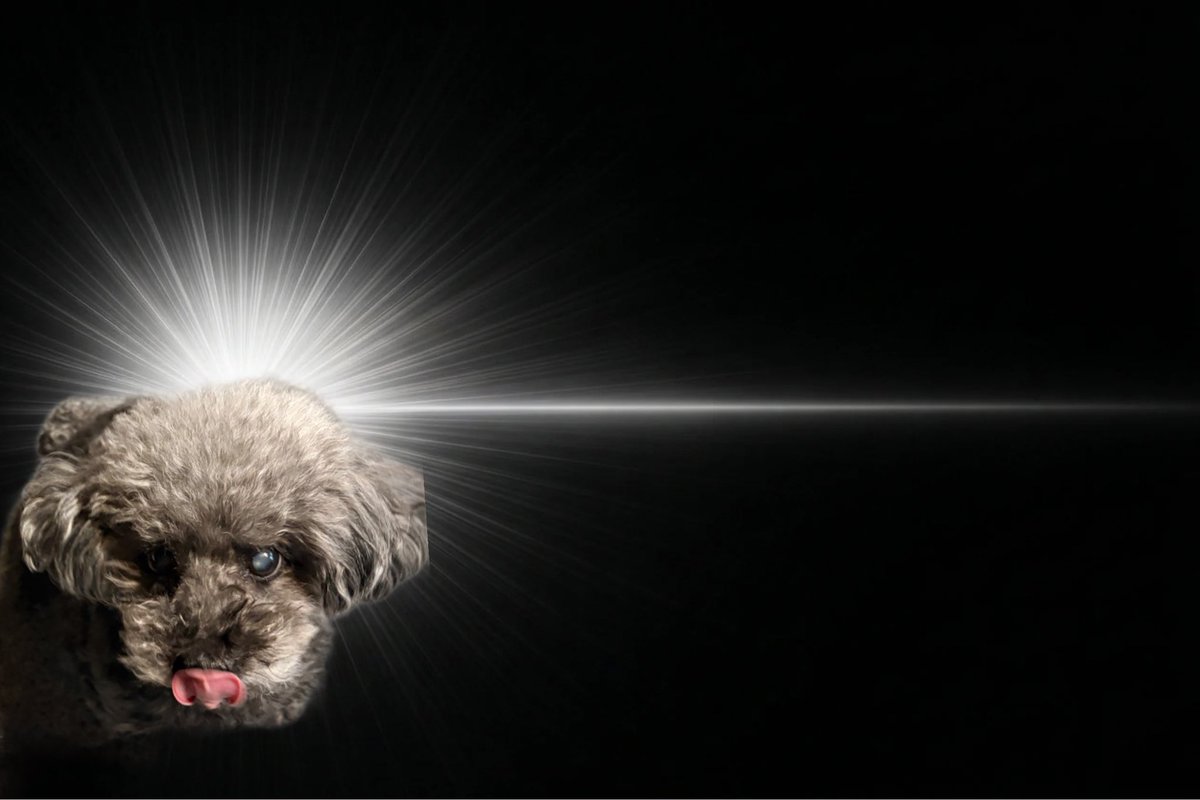 サバノミンチ tweet media